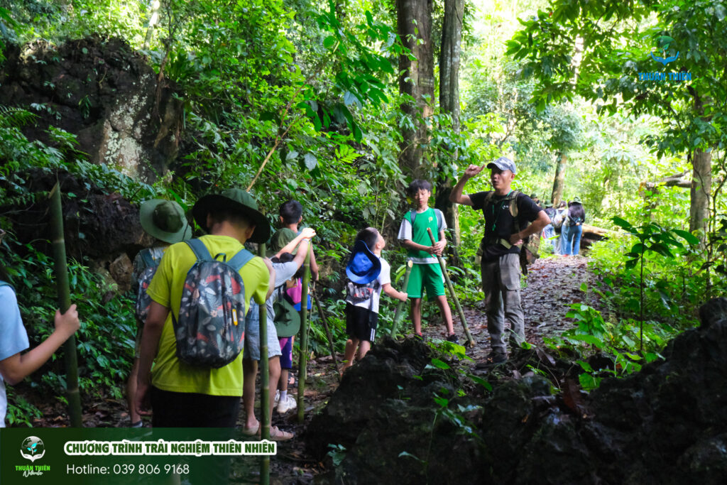 Checklist trekking Vườn quốc gia Xuân Sơn
